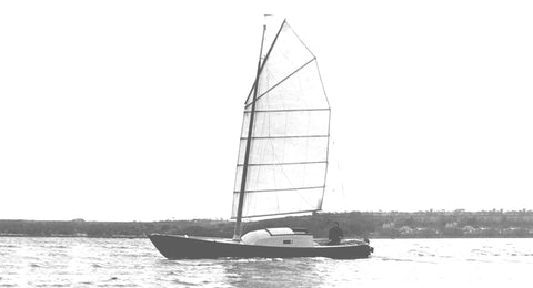 “Water Bear” Junk Rigged Cruiser