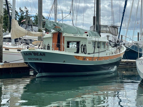 Rain Bear at Dock